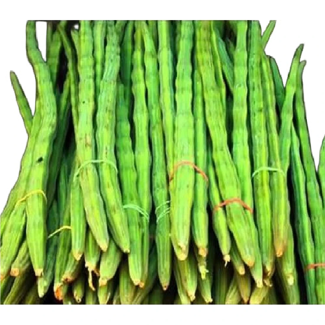 FRESH DRUMSTICK (MORINGA)