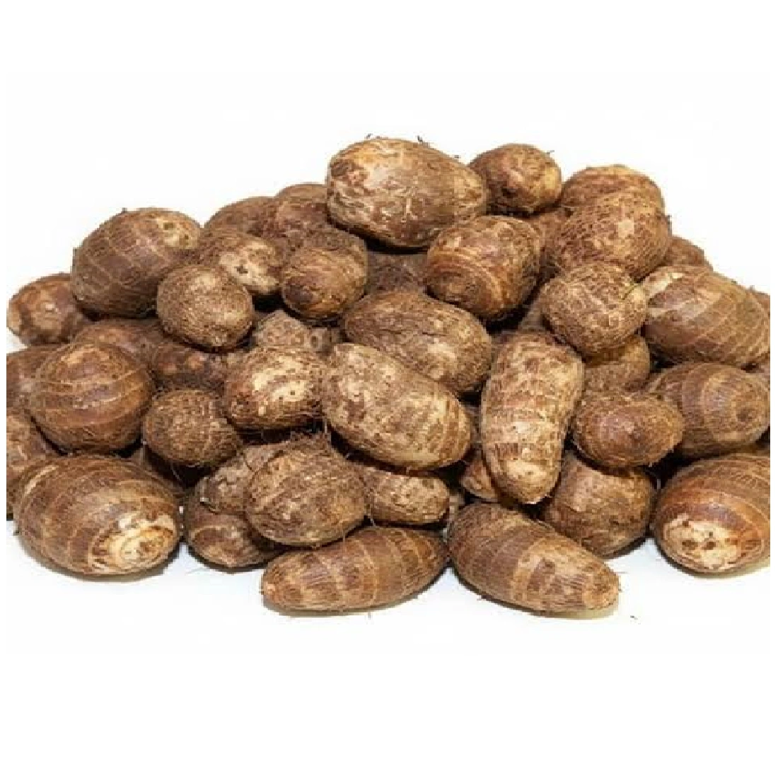 TARO ROOT (KOCHU)