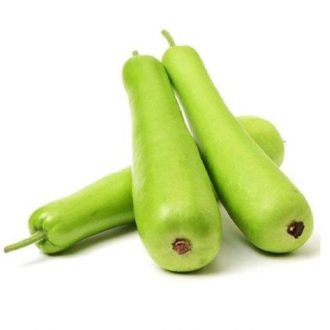 BOTTLE GOURD (LAU)