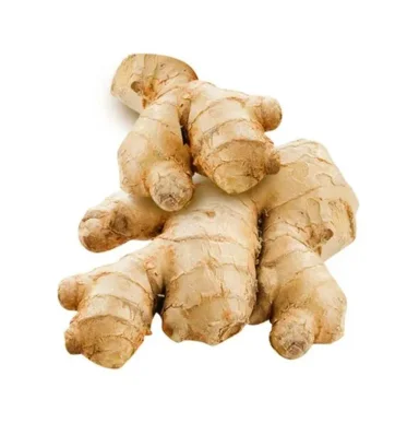 GINGER
