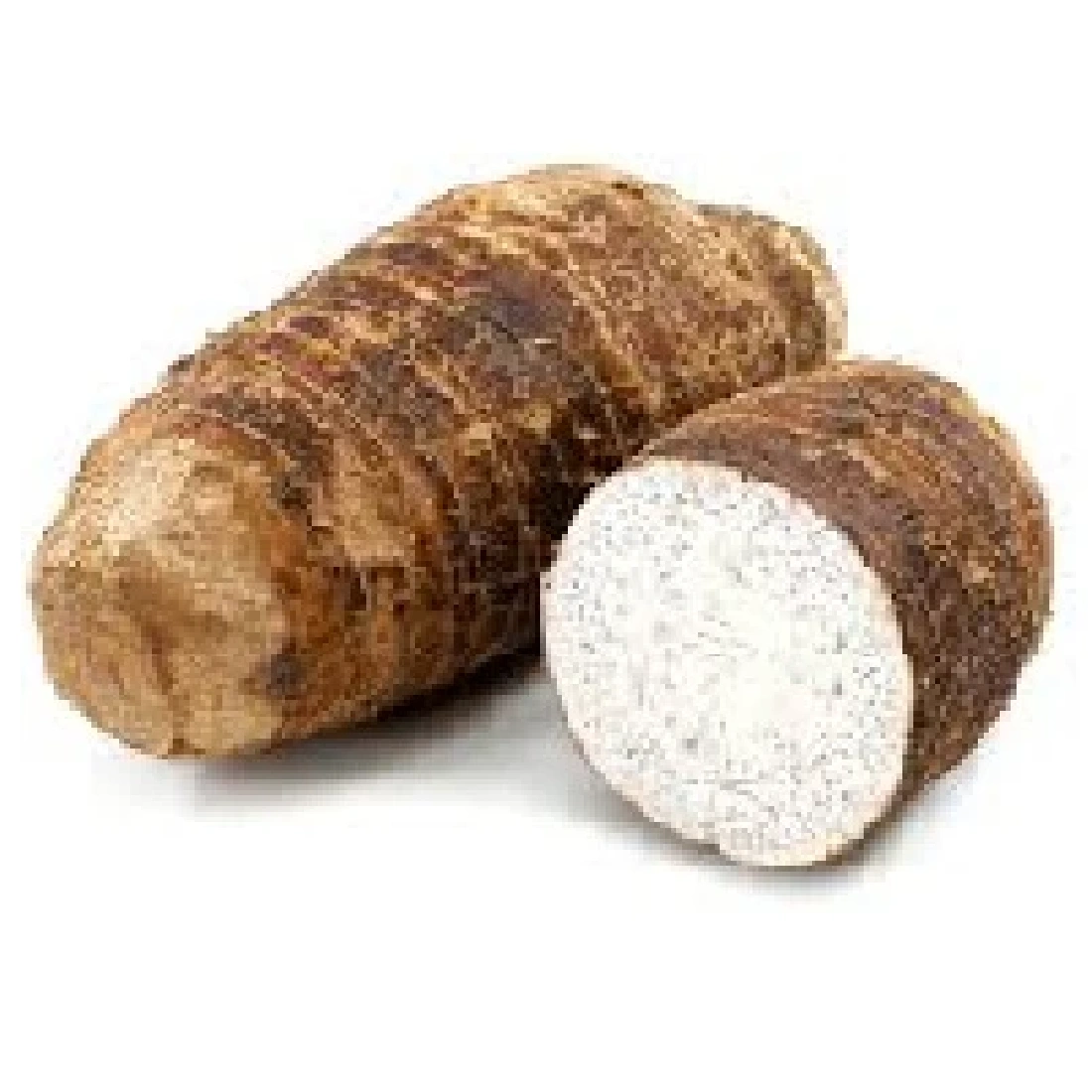 GIANT TARO (MANKOCHU)