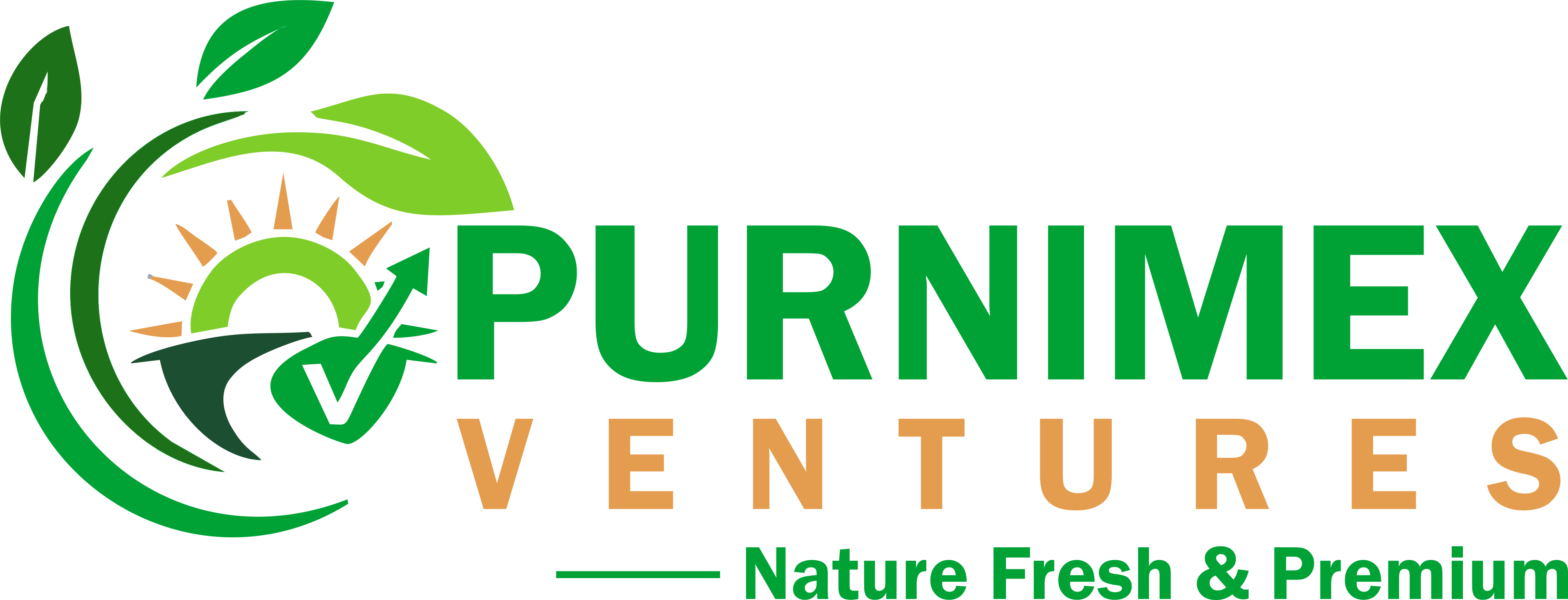 Purnimex Logo
